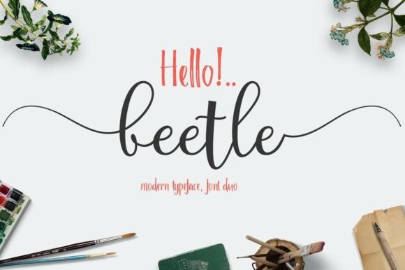 Beetle Duo Font: Modern Whimsy for Your Brand