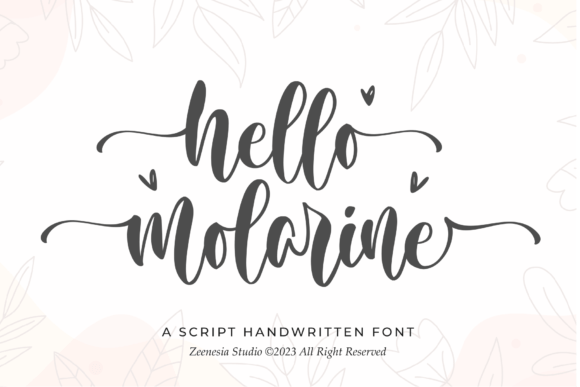 Refining Your Visual Voice: A Look at Hello Molarine